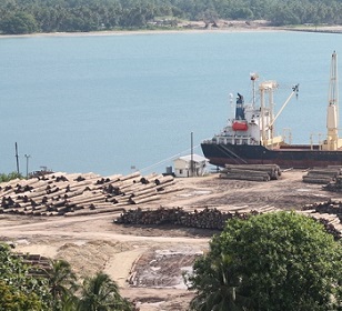 Export of round logs is the main economic activity in PNG's West Sepik province, but the profits largely go abroad. Photo: RNZI / Johnny Blades