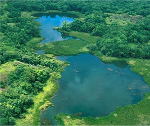 Lake Ngardok Nature Reserve, Palau. Credit - Colin Joseph