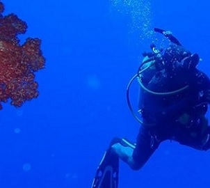 Source - https://fijisun.com.fj/