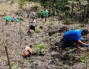 tree planting activities. Credit - https://www.mnre.gov.ws/