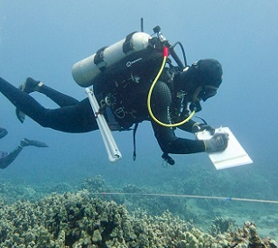 A TNC diver surveys characteristics of Maui reefs. Credit - Ryan Carr/TNC