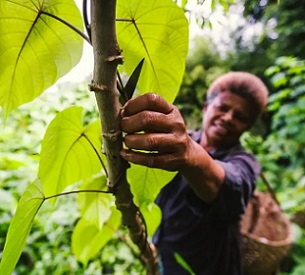 Photograph: Katie Edwards/The Guardian