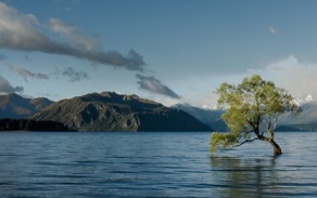 Microsoft is building a ‘Planetary Computer’ to preserve biodiversity around the world