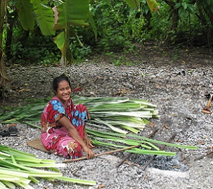 Credit - V. Jungblut