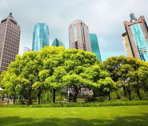 Urban nature based solutions to climate change. Credit - Shutterstock