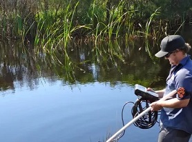 A NSW environment officer collects data at Bengello near Batemans Bay. Water in estuaries has warmed at a much faster rate than the atmosphere or oceans, a study has found. Photograph: New South Wales Department of Planning, Industry and Environment