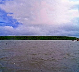 Nasoata Islet, Viti Levu, Fiji. Credit - V. Jungblut