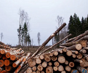 The global economy depends on the goods and services nature provides. Credit - Shutterstock