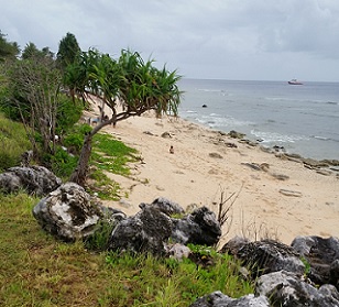 Credit - V. Jungblut