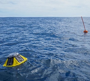 The marine monitoring equipment is located east of Avarua harbour approximately 300 metres from the reef. SUPPLIED/21043042