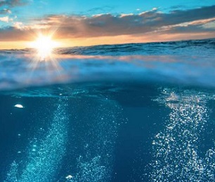 A 3D approach to protecting biodiversity on the high seas by University of Queensland. Credit: University of Queensland