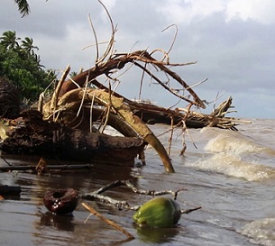 Credit - Koroi Tadulala, www.fbcnews.com.fj