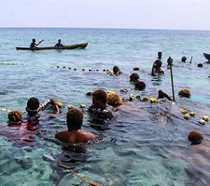 In various coastal villages around Solomon Islands, the use of passive devices were used in the past. Photo: Ronald F. Toito’ona