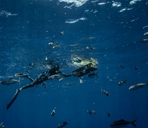 Credit - https://www.vice.com/