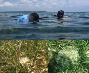 Ngermedellim Marine Sanctuary. Credit - picrc.org