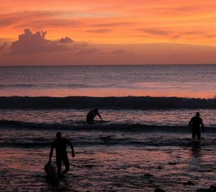 acific nations lead on climate. We must now do the same for nature. Credit - Reuters