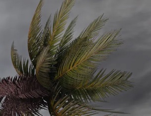 Storm warning: a new long-range tropical cyclone outlook is set to reduce disaster risk for Pacific Island communities. source - https://theconversation.com/