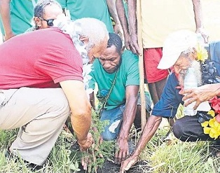 Forest under threat. credit - Pisai Gumar
