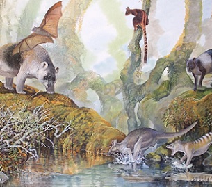 Credit: Peter Schouten (End of the Megafauna)