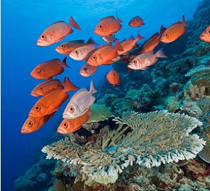 Credit - Reinhard Dirscherl—ullstein bild/Getty Images