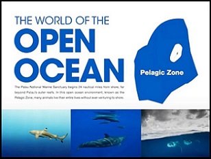 Credit - https://islandtimes.org/