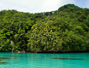 Ngeanges Island, Palau. Credit - https://www.islandconservation.org