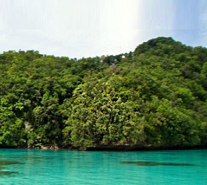 Ngeanges Island, Palau. Credit - https://www.islandconservation.org