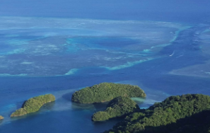Coral bleaching happening again, study shows