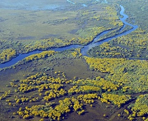 Pantanal Conservation Area, Brazil. Credit - Jose Sabino/Pixabay