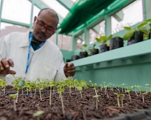 SPCs new Plant Health Lab (PHL). Credit - SPC