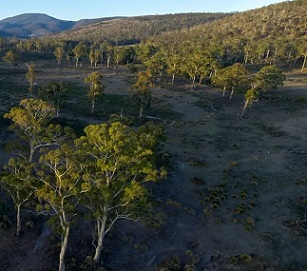 Prosser River Reserve is home to at least 11 at-risk plant and animal species. Photograph: TLC/Rob Blakers/The Guardian