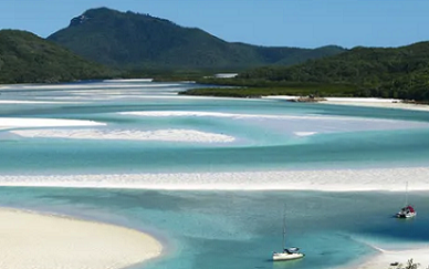 Last week two tourists were attacked by a shark while snorkelling in the Whitsundays, Great Barrier Reef. Photograph: Chris McLennan/Tourism and Events Queensland