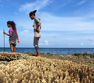 Women gleaning at low tide on Atauro Island. Credit - Ruby Grantham.