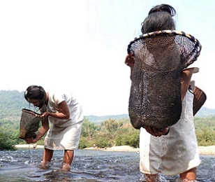 Pwak’nyaw (also known as S’gaw Karen) people living at this site in Myanmar, located on a tributary of the Salween River, use their Indigenous knowledge to obtain food. Credit - Paul Sein Twa/KESAN