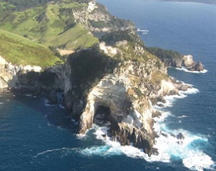 The 330-hectare Rakitū Island is now officially predator free. Source: rnz.co.nz