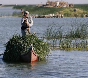 An Iraqi Marsh Arab paddles his boat as he collects reeds at the Chebayesh marsh in Dhi Qar province, Iraq April 14, 2019. Picture taken April 14, 2019. REUTERS/Thaier al-Sudani