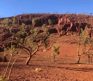 Weelumurra valley near site S08-032, a significant place for men’s ceremonies. Photograph: Wintawari Guruma Aboriginal Corporation