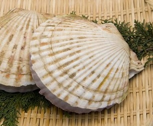 Scallops (file photo). Photo: 123rf