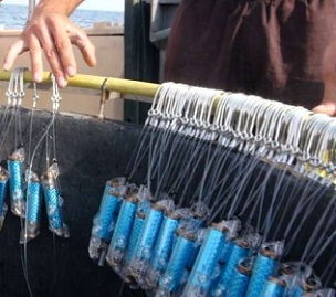 SharkGuard. Credit: Robert Enever