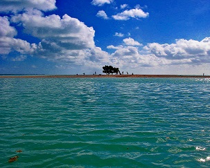 Sandbar, Tarawa lagoon, South Tarawa, Kiribati. Credit - V. Jungblut
