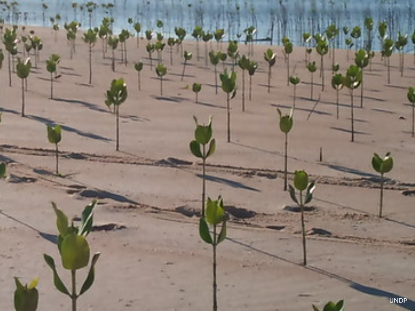 Ecosystem resilience