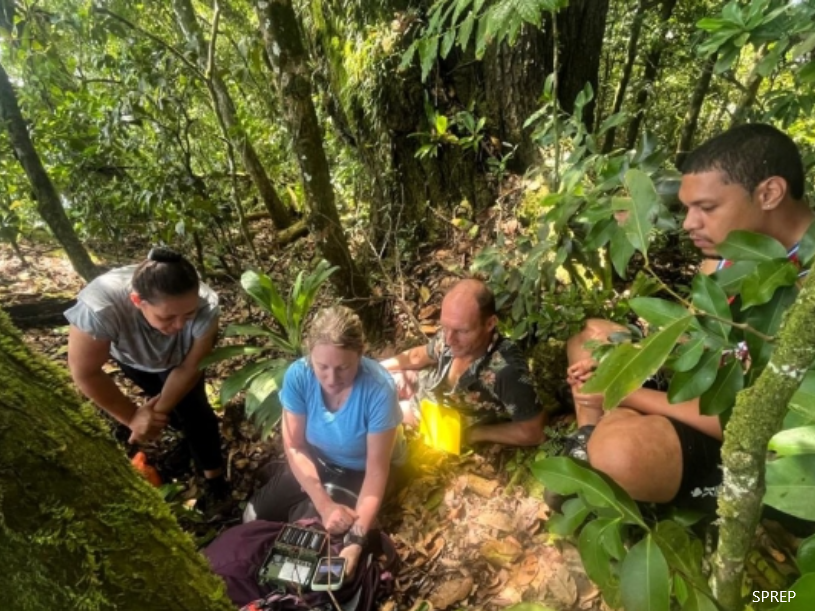 Samoa, Nu’utele Island