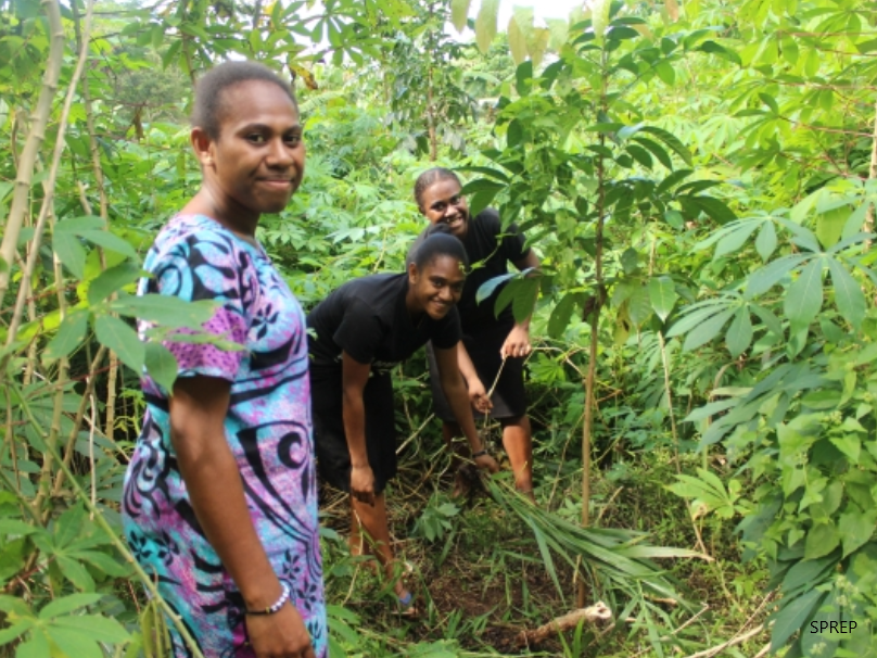 Vanuatu, restoration
