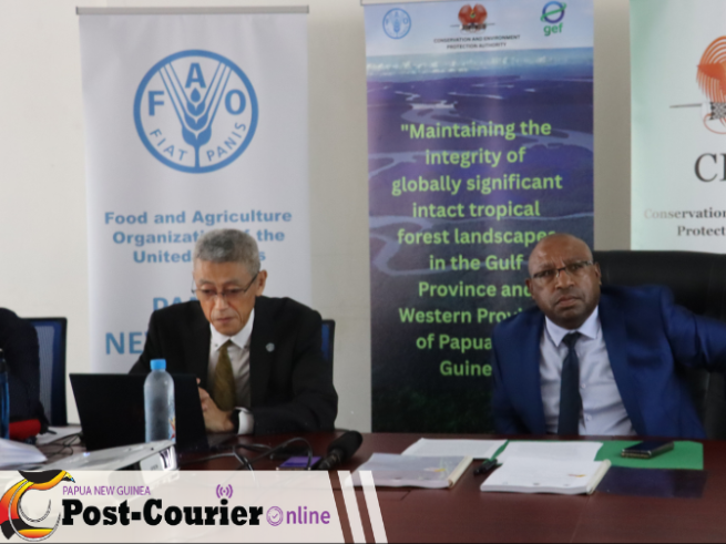 PNG, GEF-8, Rainforest protection