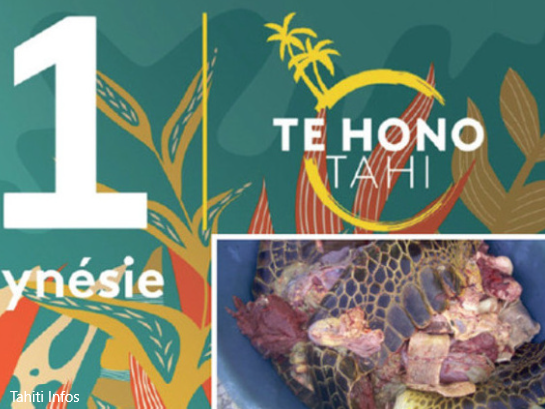 French Polynesia, turtle meat