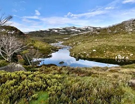 Snowy 2.0 threatens to pollute pristine Snowy Mountains rivers. Schopier/Wikimedia