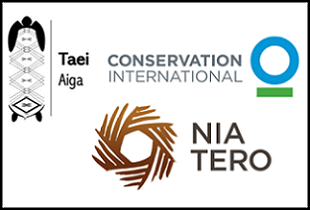 Sue Taei fellowship organising committee logo. Credit - https://www.suetaeioceanfellowship.org/