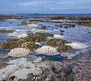 Titikaveka lagoon, Cook Islands. Credit - MINISTRY OF MARINE RESOURCES/CHARLEE MCLEAN