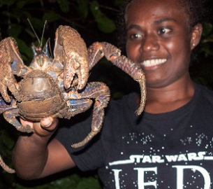 A guide handling a coconut crab at Tetepare. Credit - Moffat Mamu, https://www.solomonstarnews.com/