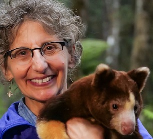 Dr. Lisa Dabek holds a Matschie’s tree kangaroo. Image by Jonathan Byers courtesy of the Tree Kangaroo Conservation Program.